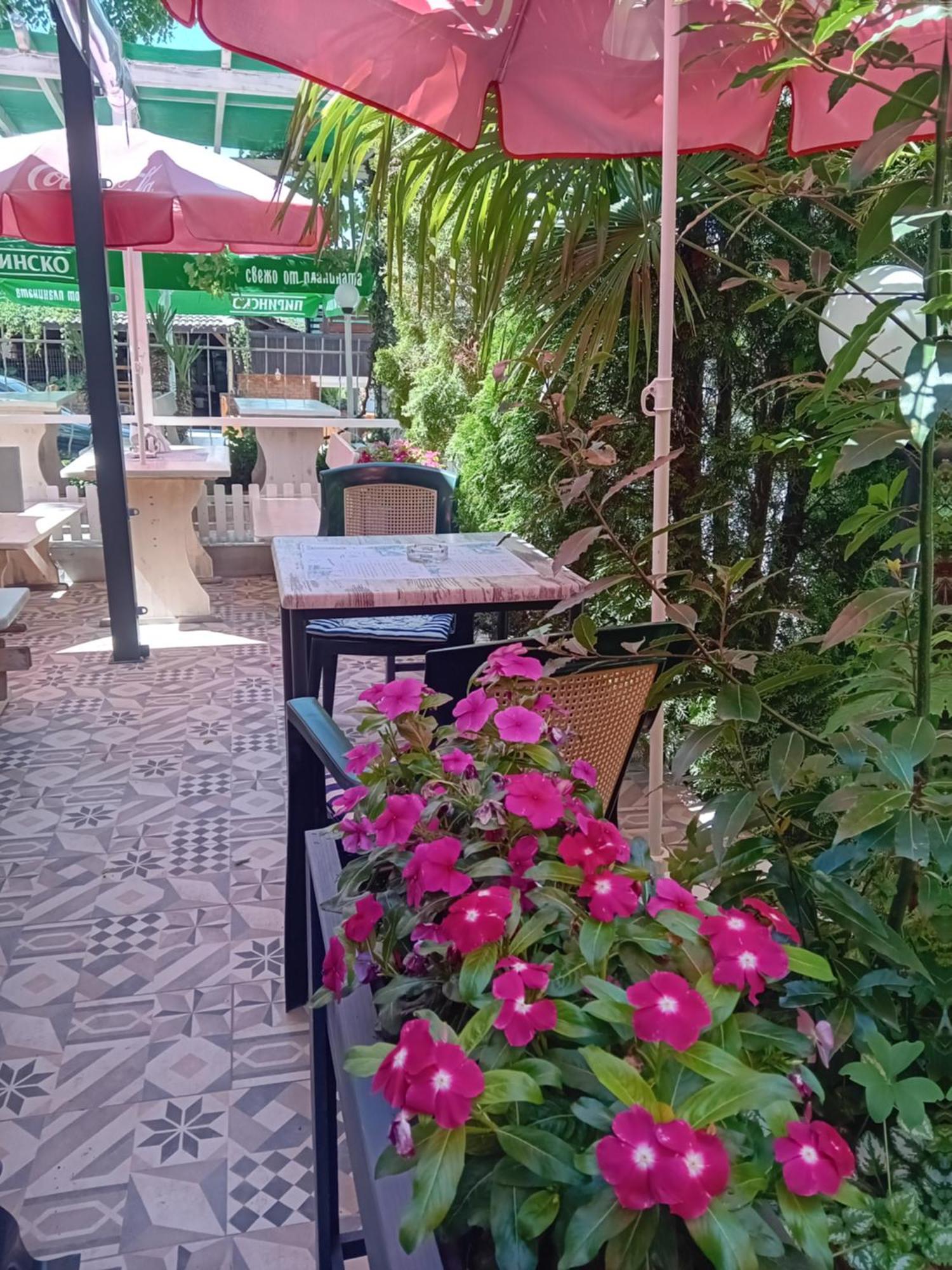 Guesthouse Oasis คีตาน ภายนอก รูปภาพ